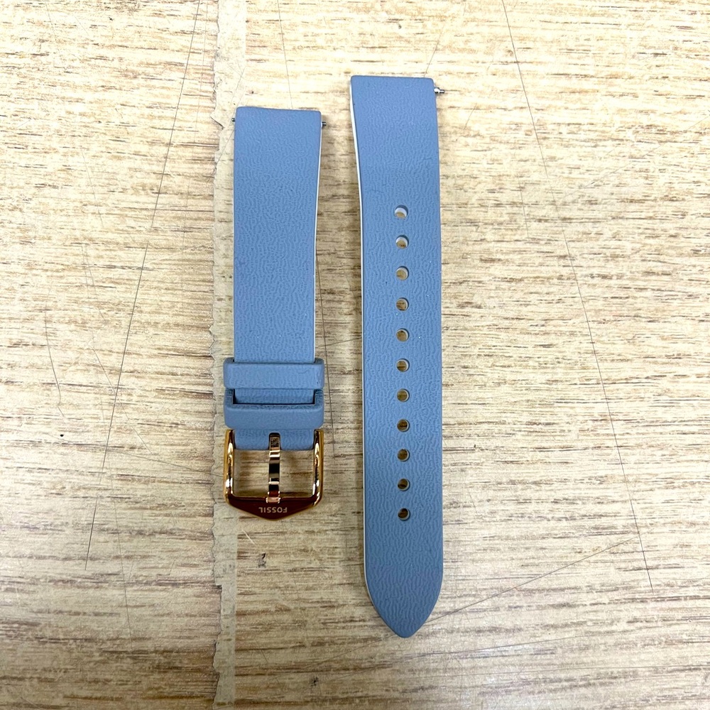 Fossil Smart Watch Bands (FTW6016)